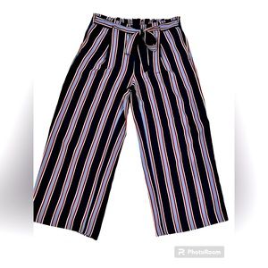 Ann Taylor Factory Striped Wide Leg Tie
Front Pants